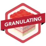 Granulating wound type